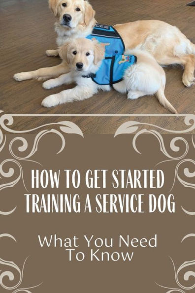 How To Get Started Training A Service Dog: What You Need To Know: