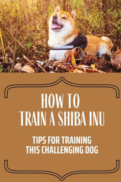 How To Train A Shiba Inu: Tips For Training This Challenging Dog: