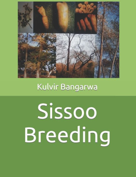 Sissoo Breeding: Forest Tree Breeding