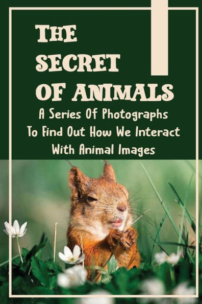 The Secret Of Animals: A Series Of Photographs To Find Out How We Interact With Animal Images: