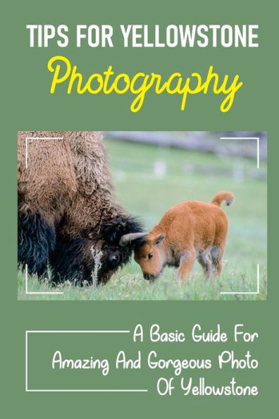 Tips For Yellowstone Photography: A Basic Guide For Amazing And Gorgeous Photo Of Yellowstone: