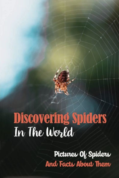 Discovering Spiders In The World: Pictures Of Spiders And Facts About Them: