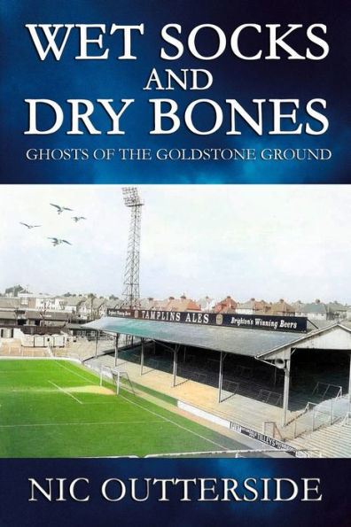 WET SOCKS AND DRY BONES: Ghosts of the Goldstone Ground