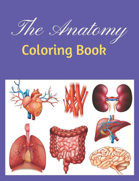 The Anatomy Coloring Book by Arshi Book House, Paperback | Barnes & Noble®