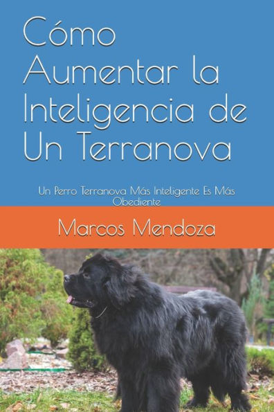 Cómo Aumentar la Inteligencia de Un Terranova: Un Perro Terranova Más Inteligente Es Más Obediente