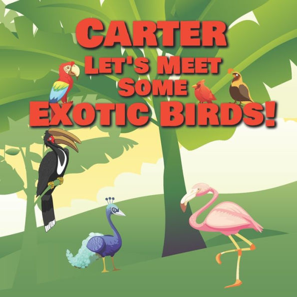 Carter Let's Meet Some Exotic Birds!: Personalized Kids Books with Name - Tropical & Rainforest Birds for Children Ages 1-3