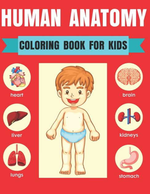 Human Anatomy Coloring Book For Kids: Entertaining and Instructive ...