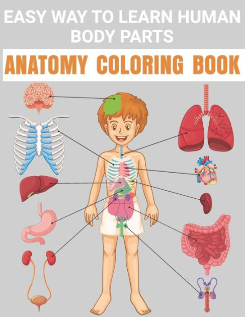 Easy Way To Learn Human Body Parts Anatomy Coloring Book: Cool Easy To ...