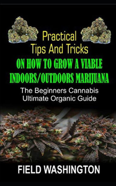 Practical Tips and Tricks on How to Grow: A Viable Indoors/Outdoors Marijuana