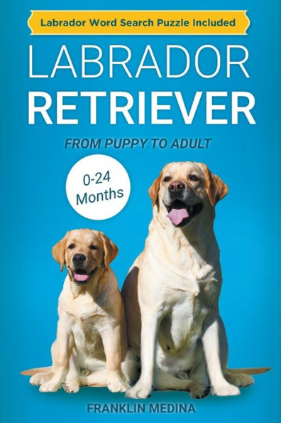 Labrador Retriever: From Puppy to Adult (0-24 Months)