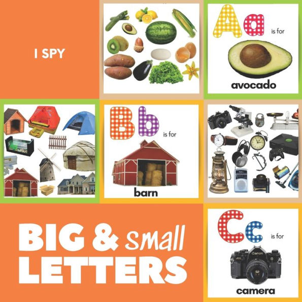 I Spy Big and Small Letters: A Book of ABC Learning With Photos