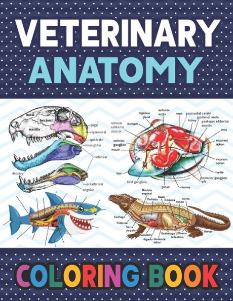 Veterinary Anatomy Coloring Book: Learn The Veterinary Anatomy With Fun & Easy. The New Surprising Magnificent Learning Structure For Veterinary Anatomy Students. Dog Cat Horse Frog Anatomy Coloring book. Vet tech & Zoology Coloring Books.