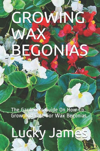 GROWING WAX BEGONIAS: The Gardeners Guide On How To Grow And Care For Wax Begonias