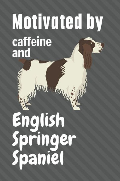 Motivated by caffeine and English Springer Spaniel: For English Springer Spaniel Dog Fans