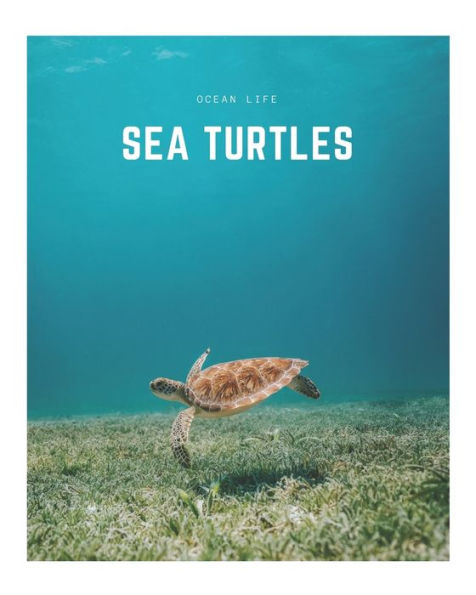 Sea Turtles: A Decorative Book ? Perfect for Stacking on Coffee Tables & Bookshelves ? Customized Interior Design & Home Decor