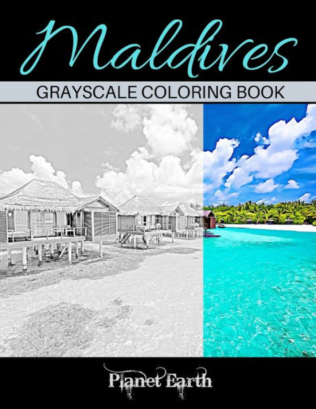 Maldives Grayscale Coloring Book: Adults Coloring Book with Beautiful Images of the Beach in Maldives.
