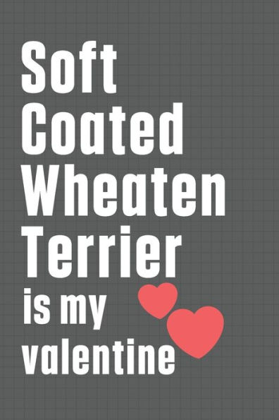 Soft Coated Wheaten Terrier is my valentine: For Soft Coated Wheaten Terrier Dog Fans