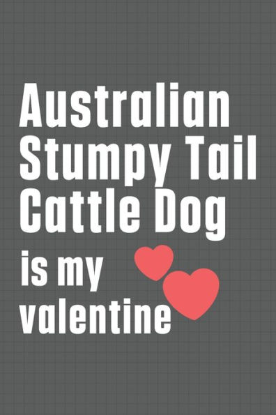 Australian Stumpy Tail Cattle Dog is my valentine: For Australian Stumpy Tail Cattle Dog Fans