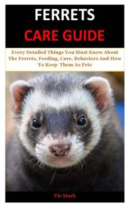 Ferrets Care Guide: Every Detailed Things You Must Know About The ...