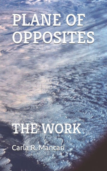 THE PLANE OF OPPOSITES: THE WORK