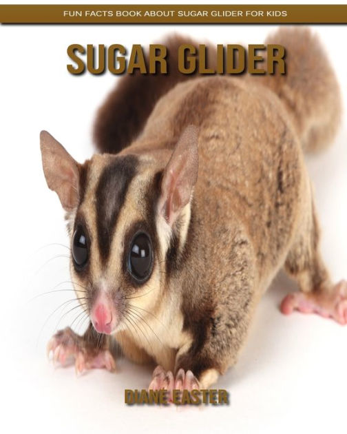 Sugar Glider: Fun Facts Book about Sugar Glider for Kids by Diane ...