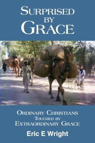 Title: Surprised by Grace: Ordinary Christians Touched by Extraordinary Grace, Author: Mary Helen Wright