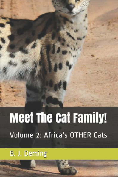 Meet The Cat Family!: Volume 2: Africa's OTHER Cats