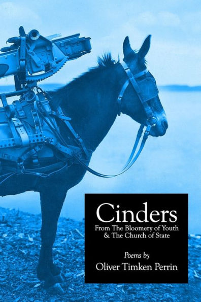 Cinders From The Bloomery of Youth & The Church of State: Poems 1994-2016