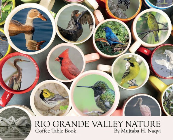 Rio Grande Valley Birds: Birds Edition