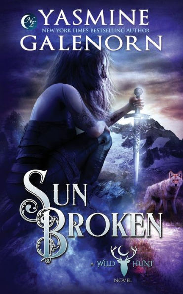 Sun Broken