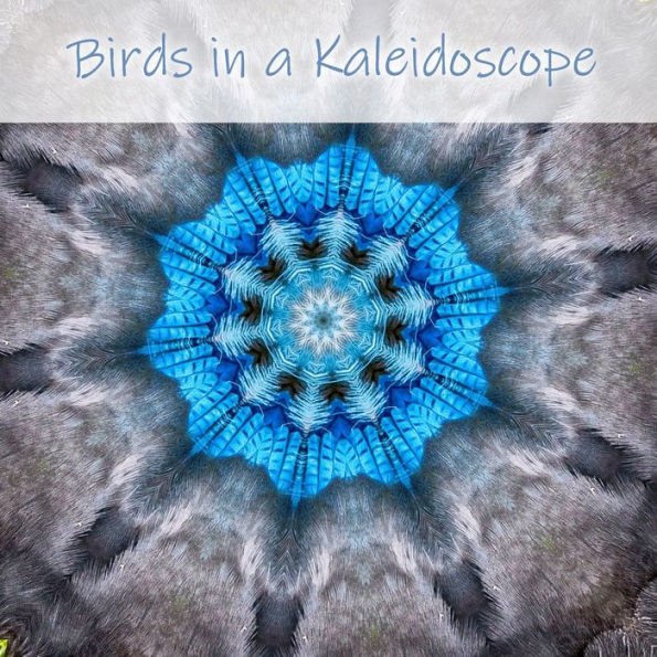 Birds in a Kaleidoscope