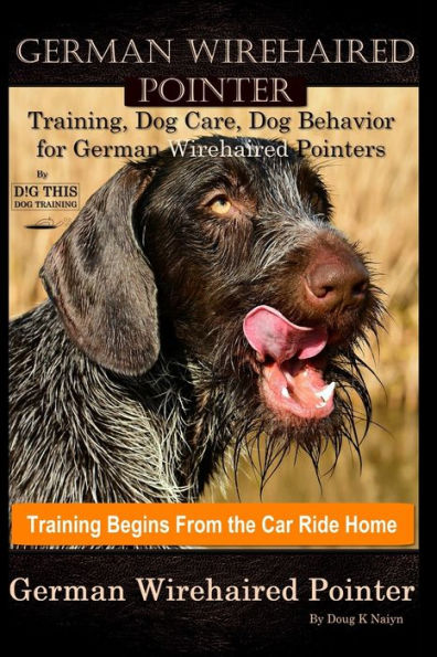 German Wirehaired Pointer Training, Dog Care, Dog Behavior, for German Wirehaired Pointers By D!G THIS DOG Training, Dog Training Begins From the Car Ride Home, German Wirehaired Pointer