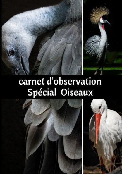 Carnet d'observation Spï¿½cial Oiseaux: Journal d'observation des oiseaux