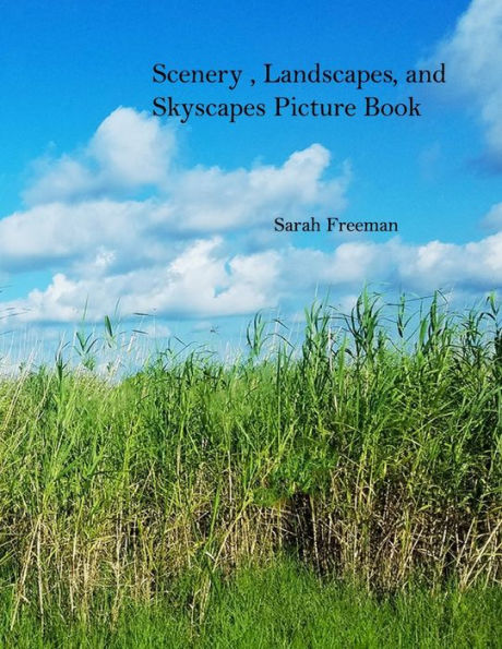 Scenery, Landscapes, and Skyscapes Picture Book