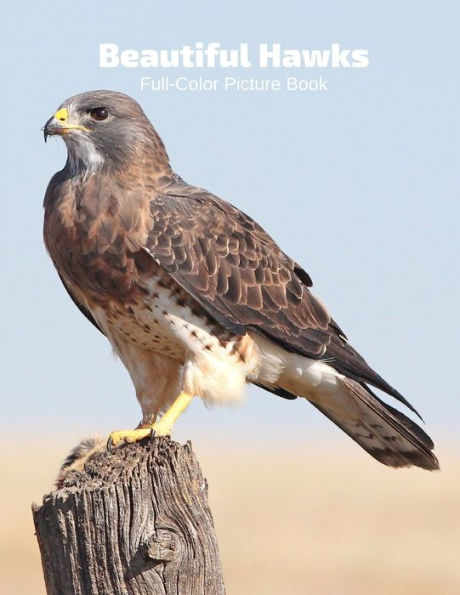 Beautiful Hawks Full-Color Picture Book: Birds Photography Book- Birds of Prey Nature Animals