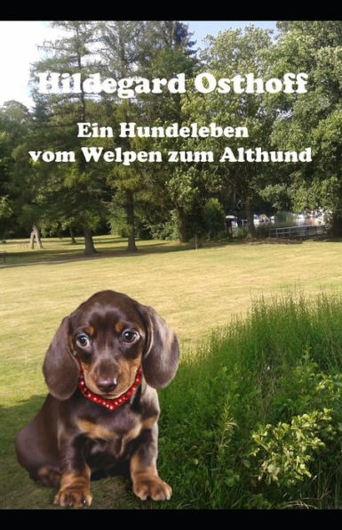 Ein Hundeleben vom Welpen zum Althund: Ein wissenswertes Buch fï¿½r Hundefreunde