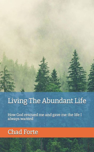 Living The Abundant Life: How God rescued me and gave me the life I always wanted