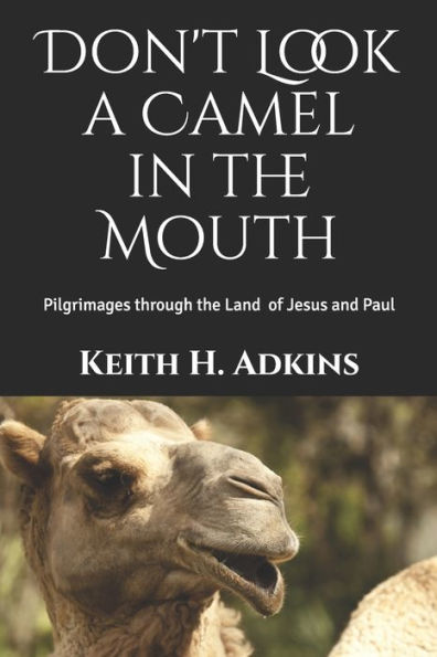 Don't Look a Camel in the Mouth: Pilgrimages through the Land of Jesus and Paul