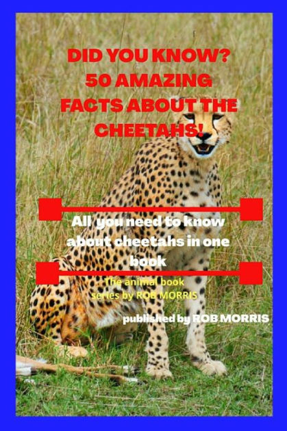 DID YOU KNOW? 50 AMAZING FACTS ABOUT THE CHEETAHS!: Interesting facts ...