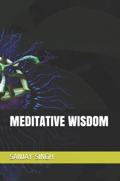 MEDITATIVE WISDOM