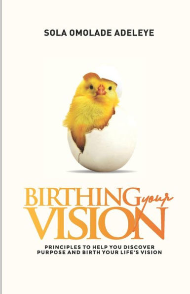 Birthing Your Vision: Proven steps to discover purpose and birth your life's vision