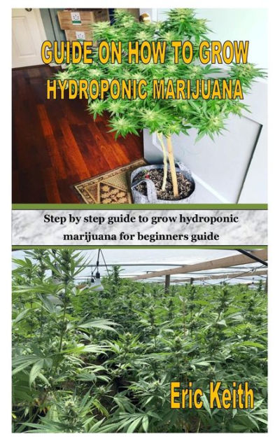 GUIDE ON HOW TO GROW HYDROPONIC MARIJUANA: Step by step guide to grow ...