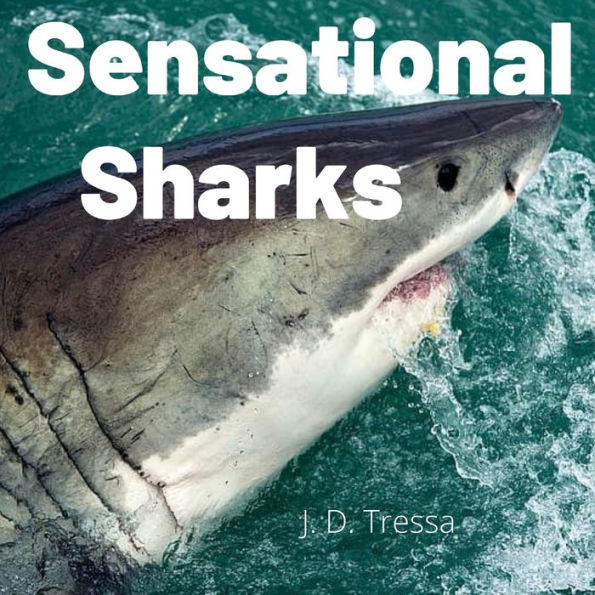 Sensational Sharks: Fun Science Facts About Sharks For Kids 3-5
