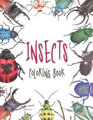 Download Insects Coloring Book Wonderful And Fun Colouring Book For Adults Teens And Kids Girls Boys Great Gift For Insects And Bugs Animal Lovers By Kit Osm Paperback Barnes Noble