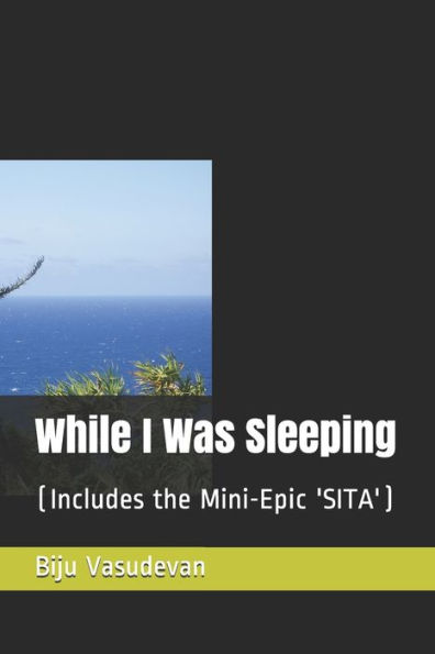 While I Was Sleeping: (Includes the Mini-Epic 'SITA')