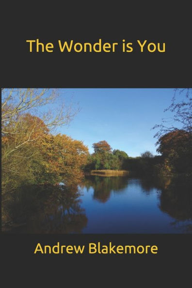 The Wonder is You