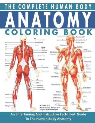 The Complete Human Body Anatomy Coloring Book: The Ultimate Anatomy And ...