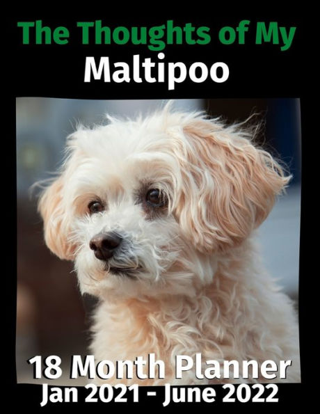 The Thoughts of My Maltipoo: 18 Month Planner Jan 2021-June 2022