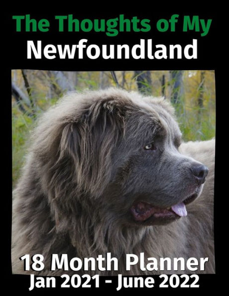 The Thoughts of My Newfoundland: 18 Month Planner Jan 2021-June 2022
