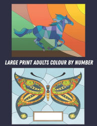 Title: Large Print Adults Colour by Number: Coloring Book with 60 Color By Number Designs of Animals, Birds, Flowers, Houses and Patterns Fun and Stress Relieving Coloring By Numbers Book ( Coloring book ), Author: QTA WORLD